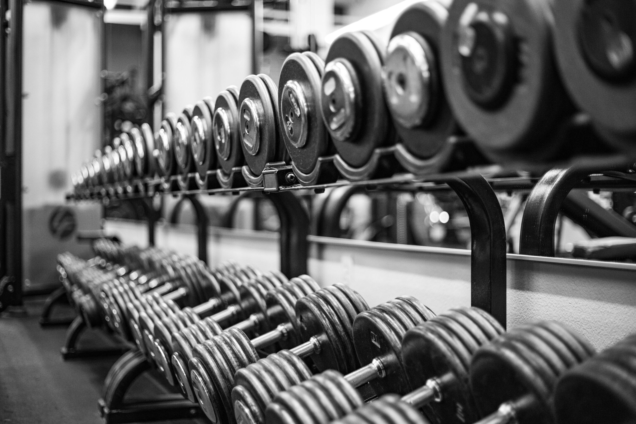 Comment choisir ses haltères pour la musculation en home gym ?
